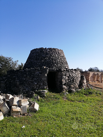 Trullo panoramico in collina da restaurare
