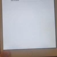 Ipad mini