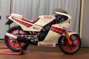 HRD WH White Horse
