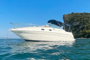 Searay Sundancer 260 lago Garda