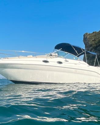 Searay Sundancer 260 lago Garda