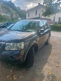 Land rover Freelander  2 TD 4 cambio automatico 
