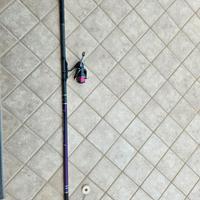 falcon venere viola 7m