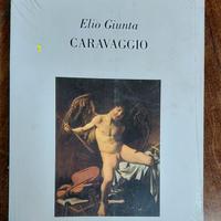 libro Elio Giunta da collezione Caravaggio