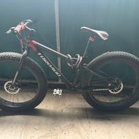 Bici da sabbia