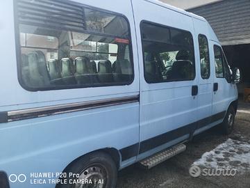 Pullmino minibus ducato