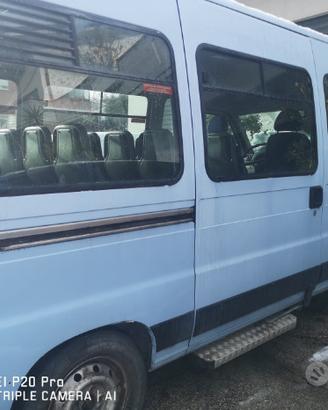 Pullmino minibus ducato