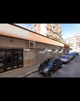 Attività storica