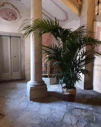 Appartamento di 54 m² con 1 locale a Udine