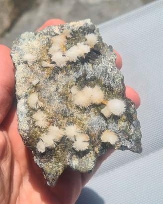 Minerali Collezione Aragonite Valmalenco