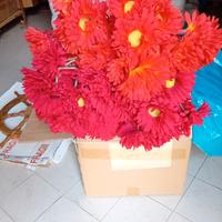 materiale per allestimento vetrine