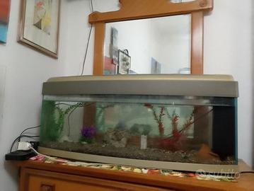 acuario di 100 litri