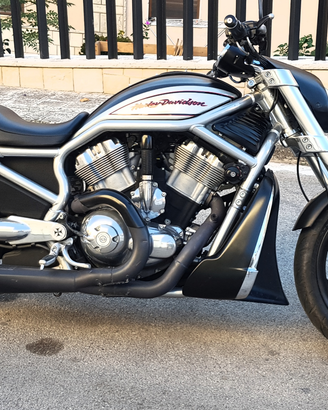 V-Rod