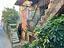 Immagine 7