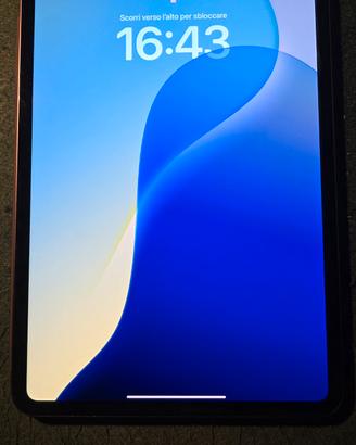Ipad pro M4 cellular 11 pollici 256GB
