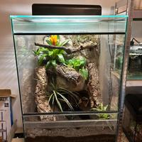 Terrario allestito con mobile