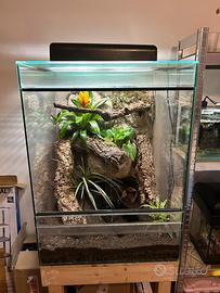 Terrario allestito con mobile