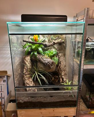 Terrario allestito con mobile