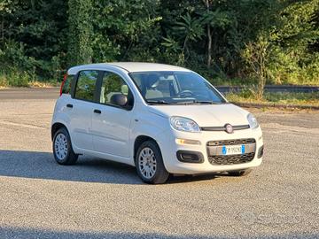 Fiat Panda 1.2 Lounge CV-69 E6 Manuale NEO 2017