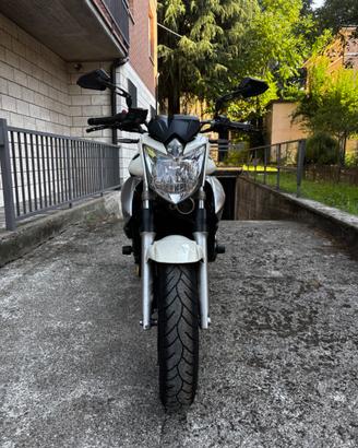 Yamaha XJ6 – Anno 2009