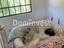 Immagine 16