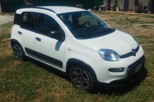 Panda Hybrid 