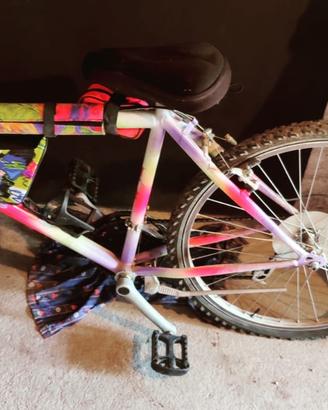 Mountain bike