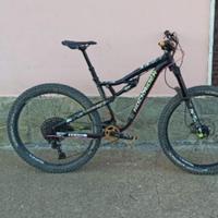 biammortizzata /full