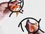 Immagine 4