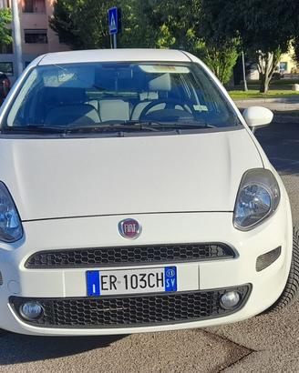 Fiat punto bianca