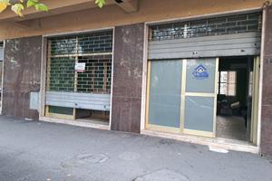 Negozio Cassino [VERDI_90ACG]