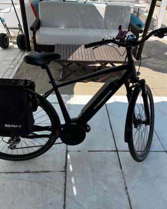Bici elettrica