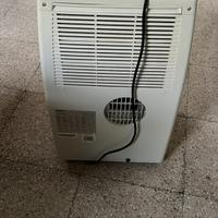 Pinguino condizionatore