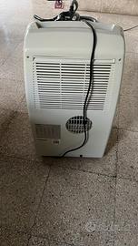 Pinguino condizionatore