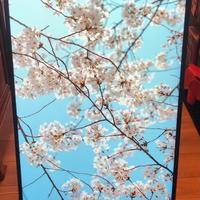 Samsung The Sero - Smart TV 43 Pollici