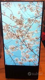 Samsung The Sero - Smart TV 43 Pollici