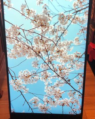 Samsung The Sero - Smart TV 43 Pollici