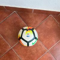 Pallone da calcio