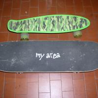 COPPIA DI SKATEBOARD
