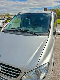 Mercedes Viano 
