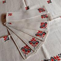 Tovaglia e tovaglioli  LINO/COTONE ricamata a mano