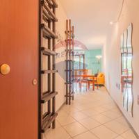 Coppia di Librerie Divisorie Terra-Cielo in Legno 