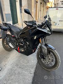 Xcape 649 valigie rapidbike paracoppa thor