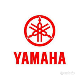 R1 Yamaha wow prima serie anniversario 1997 - 2007