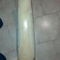 COPERTINA SELLA HONDA CR 250