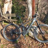 scott genius eride carbon 