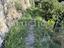 Immagine 16