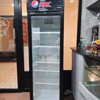 Frigor professionale