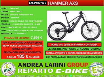 Ebike Olympia Hammer AXS