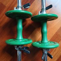 manubri GYM in acciaio con dischi in ghisa